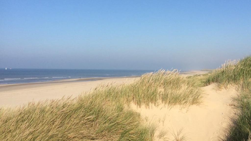 De Blaauboer, Vakantiehuisje Egmond aan Zee Zimmer foto