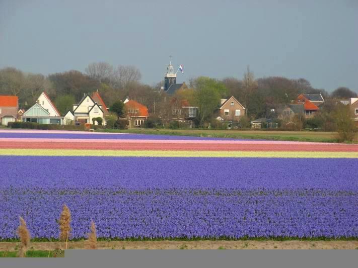 De Blaauboer, Vakantiehuisje Egmond aan Zee Zimmer foto