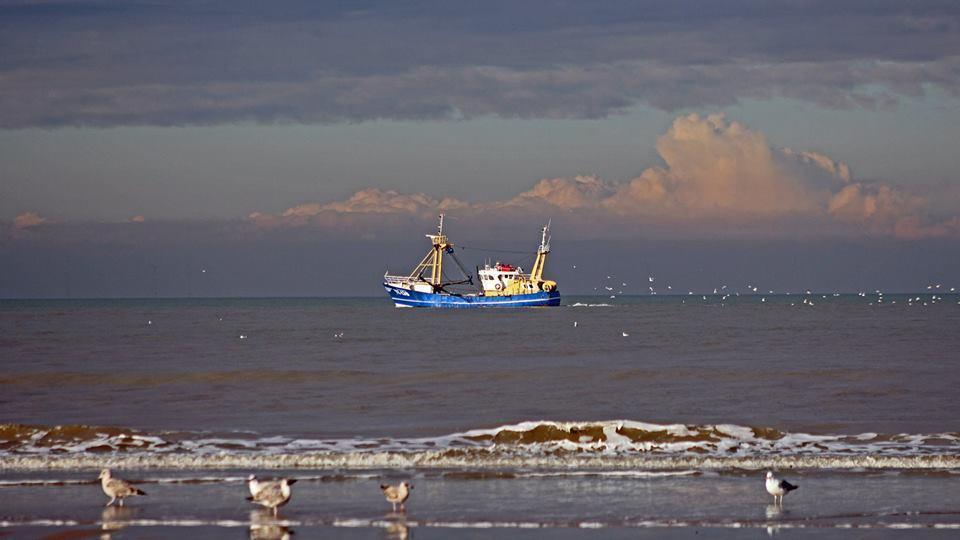 De Blaauboer, Vakantiehuisje Egmond aan Zee Exterior foto