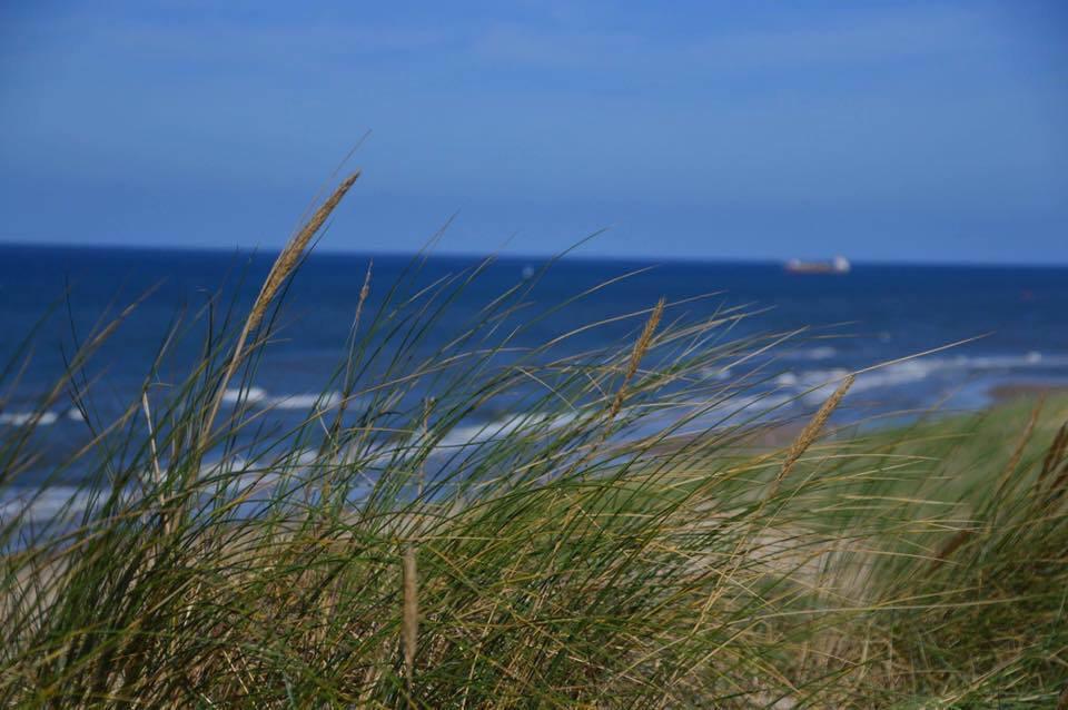 De Blaauboer, Vakantiehuisje Egmond aan Zee Exterior foto